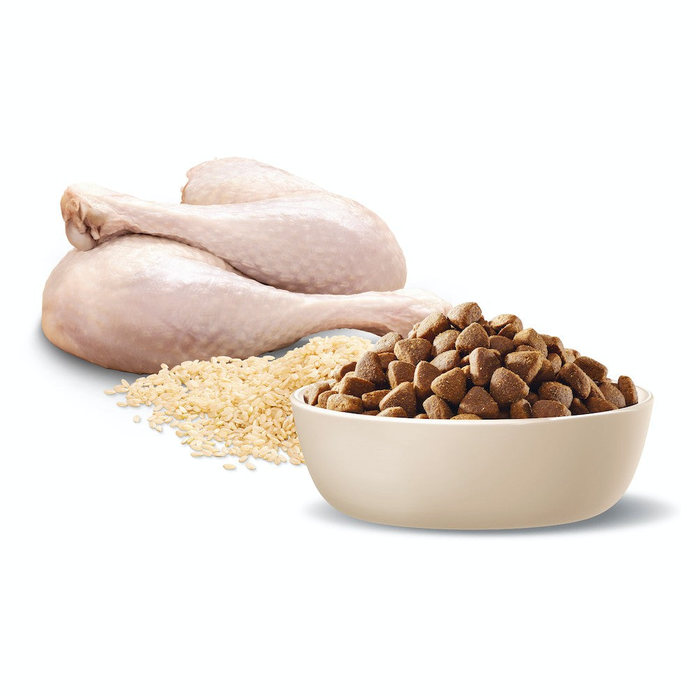 Advance Adult Medium Breed Turkey