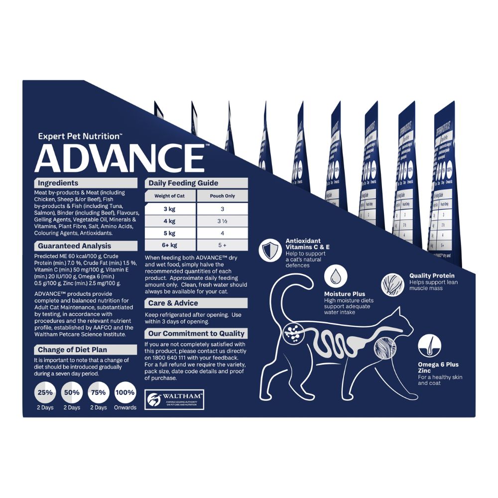 Advance Adult Ocean Fish in Jelly