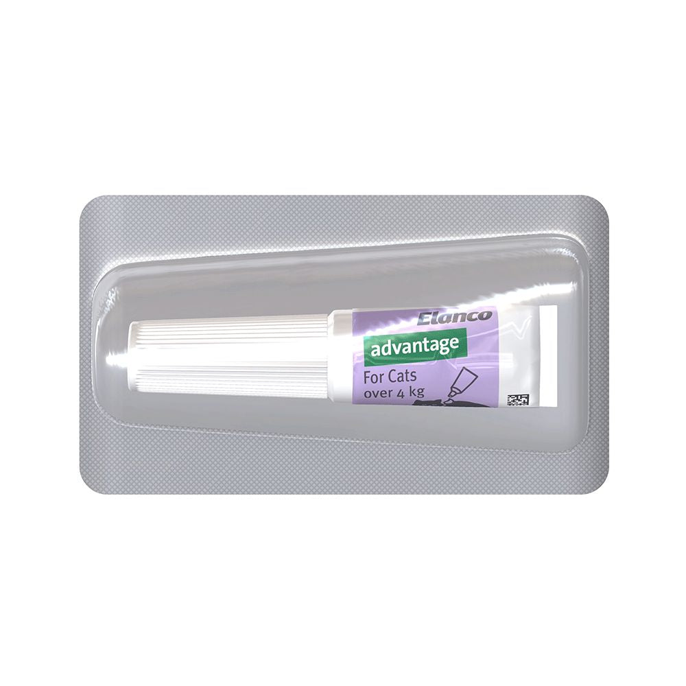 Advantage Large Over 4kg Purple