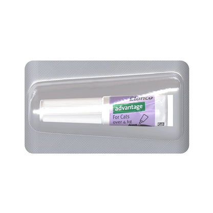 Advantage Large Over 4kg Purple