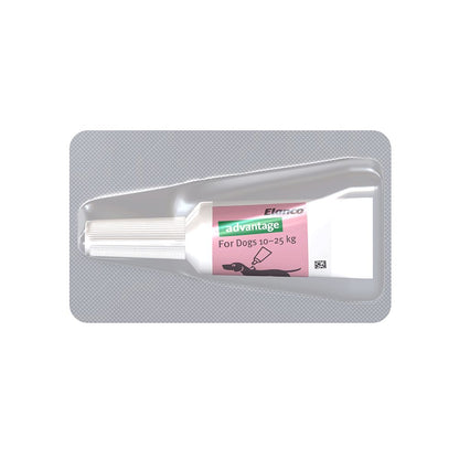 Advantage Large 10-25kg Red