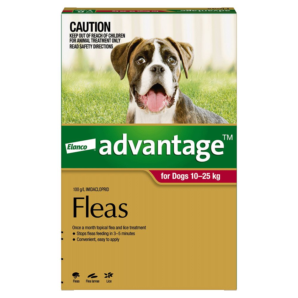 Advantage Large 10-25kg Red