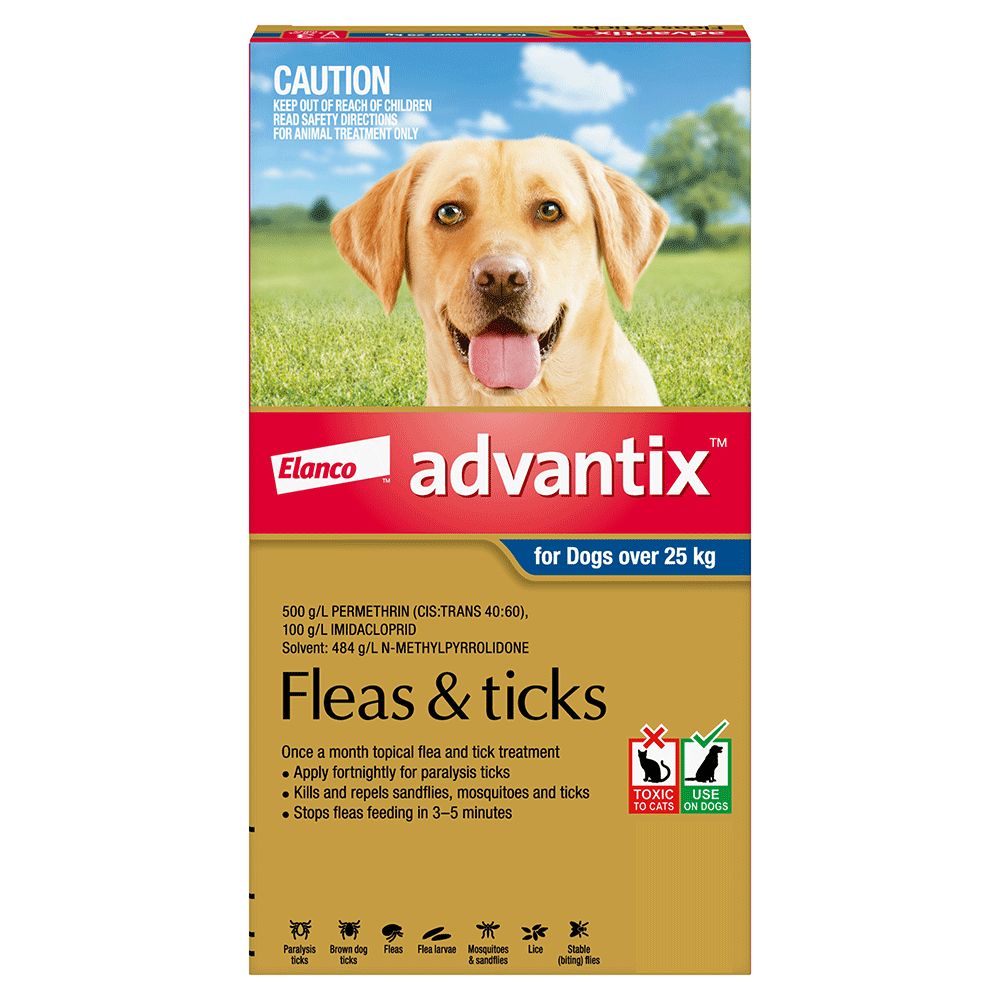 Advantix Extra Large Over 25kg Blue / Grey
