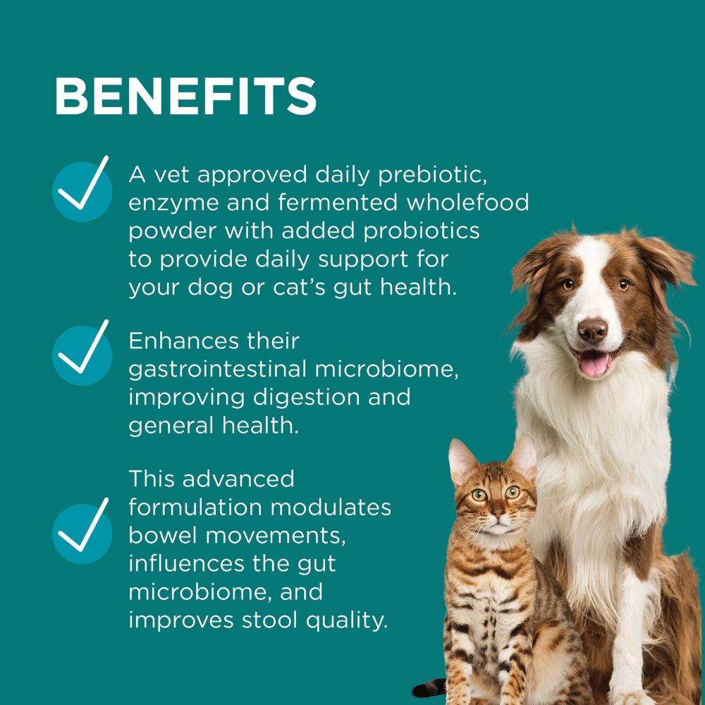 Paw DigestiCare Digestive Health