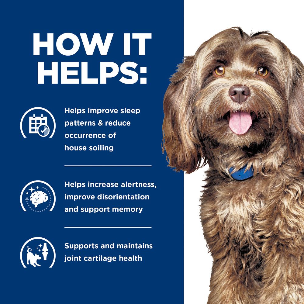 Hills Prescription Diet Brain Care + j/d Mobility Dry Dog Food