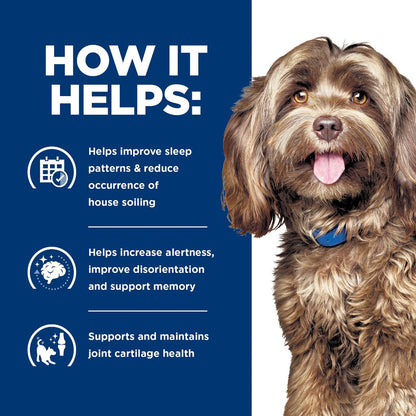 Hills Prescription Diet Brain Care + j/d Mobility Dry Dog Food