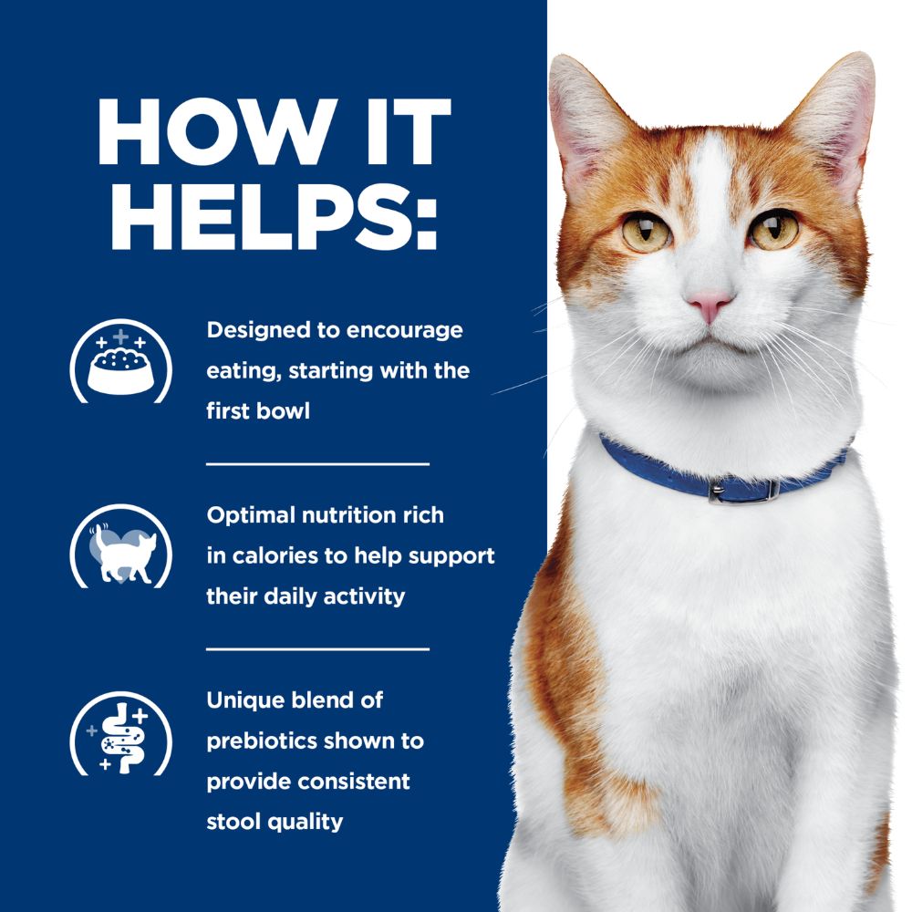 Hills Prescription Diet ONC Care Chicken & Vegetable Stew Canned Cat Food