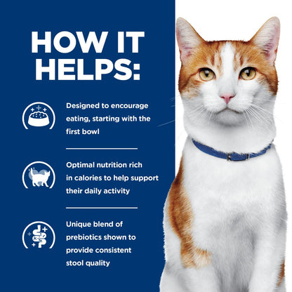 Hills Prescription Diet ONC Care Dry Cat Food