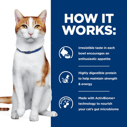 Hills Prescription Diet ONC Care Dry Cat Food
