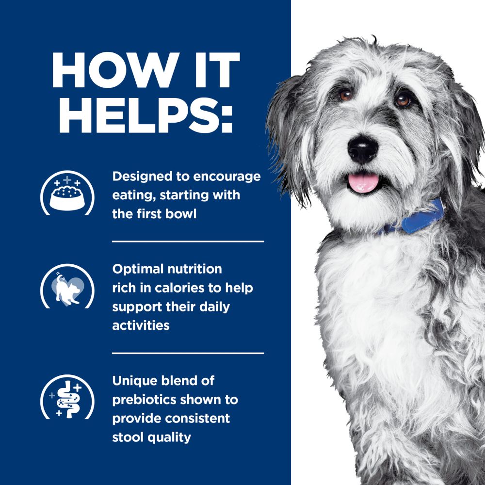 Hills Prescription Diet ONC Care Canned Dog Food
