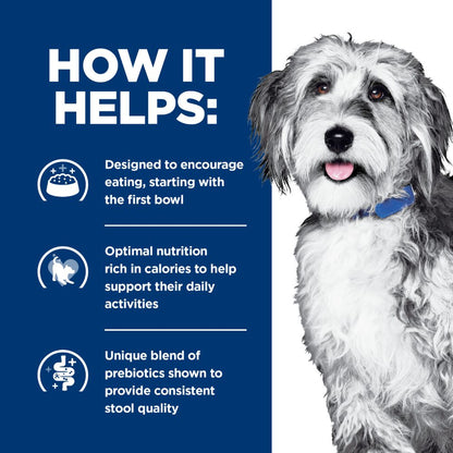 Hills Prescription Diet ONC Care Canned Dog Food