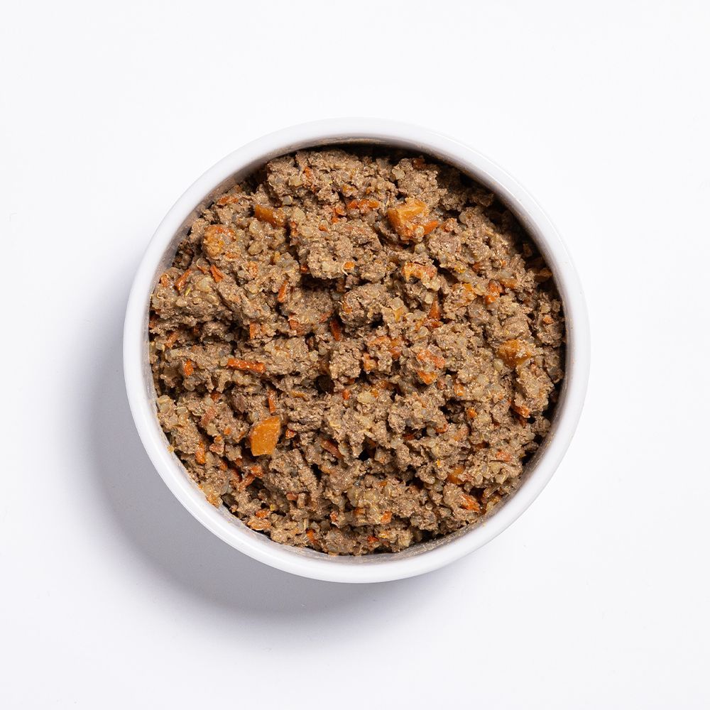 Prime100 SPD Slow Cooked Beef and Carrot Wet Dog Food