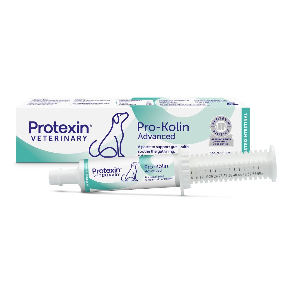 Pro-Kolin Advanced Probiotic & Prebiotic Paste for Dogs