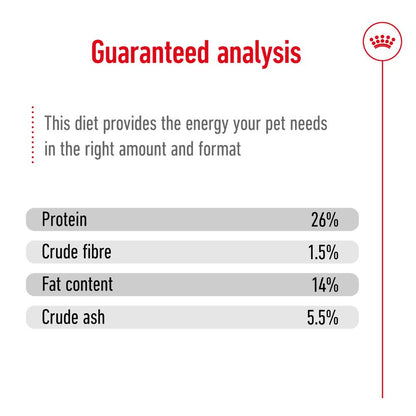 Royal Canin Mini Ageing 12+ Years