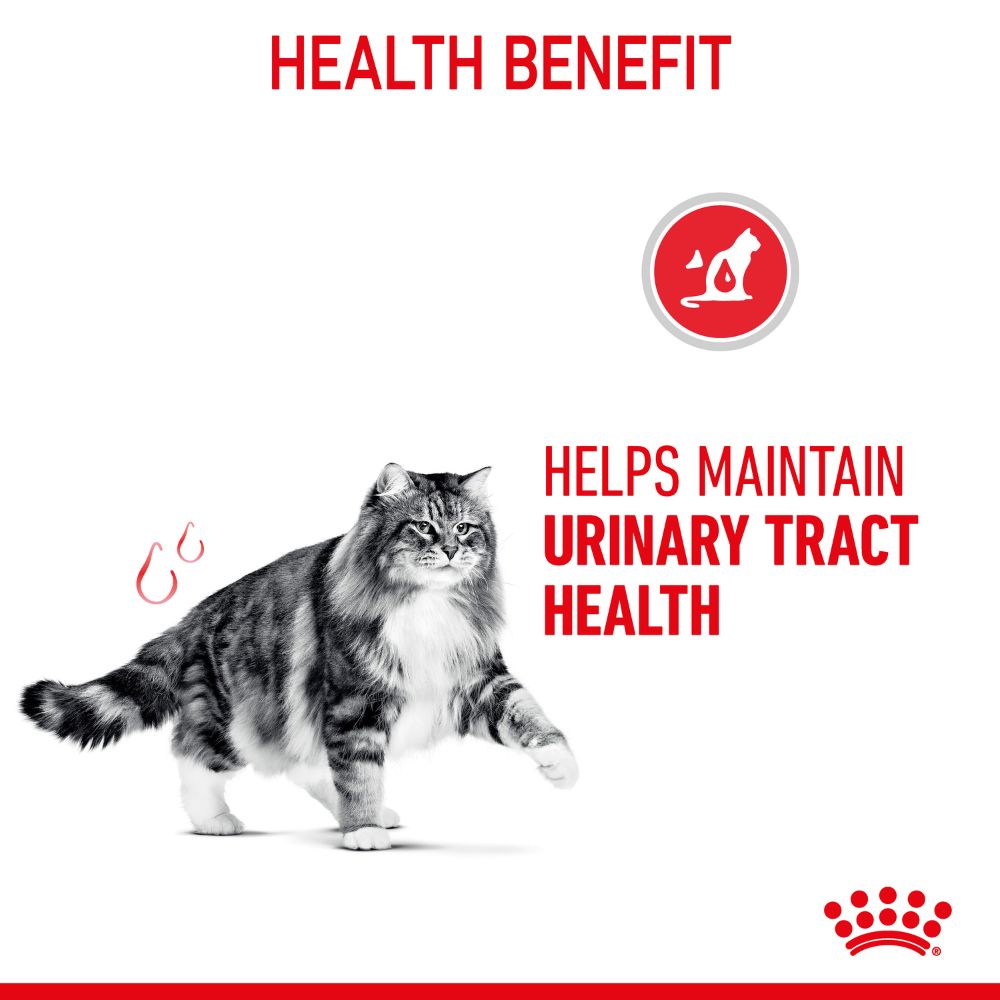 Royal Canin Adult Urinary Care in Jelly