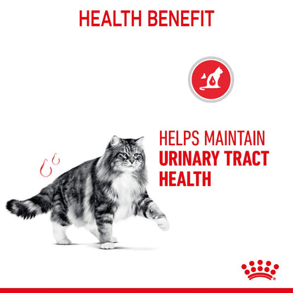 Royal Canin Adult Urinary Care in Jelly