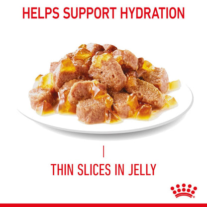Royal Canin Adult Urinary Care in Jelly