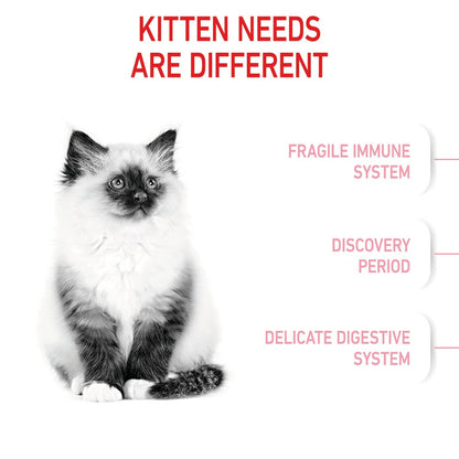 Royal Canin Kitten
