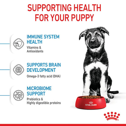 Royal Canin Maxi Puppy (Junior)