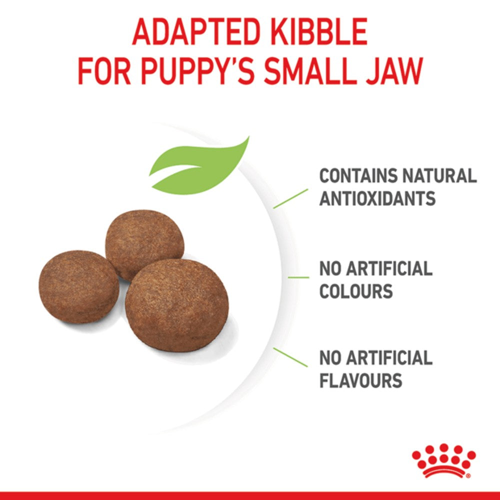 Royal Canin Medium Puppy (Junior)