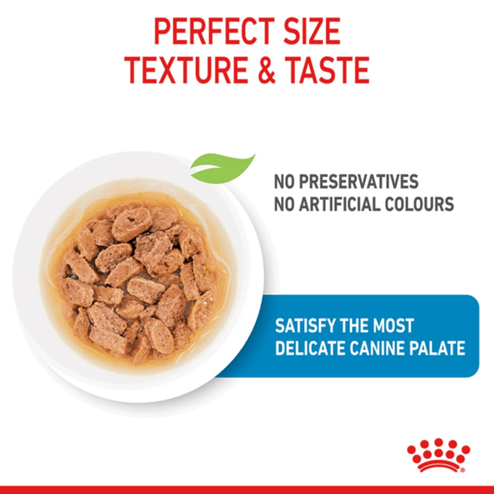 Royal Canin Mini Puppy Wet Food Pouches