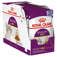 Royal Canin Adult Sensory Smell in Jelly