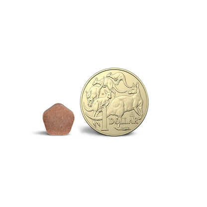 Simparica Trio Extra Small 2.6-5kg