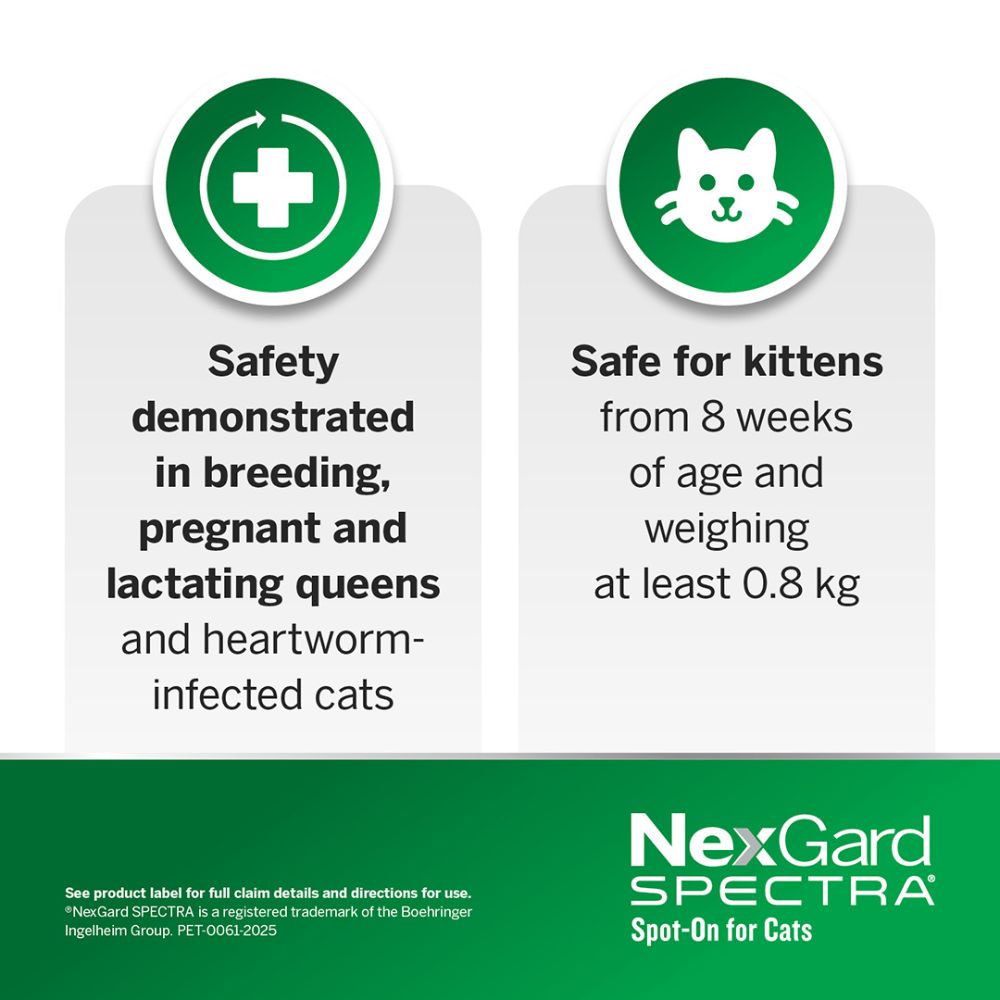 NexGard Spectra Small Cats 0.8-2.4kg Purple