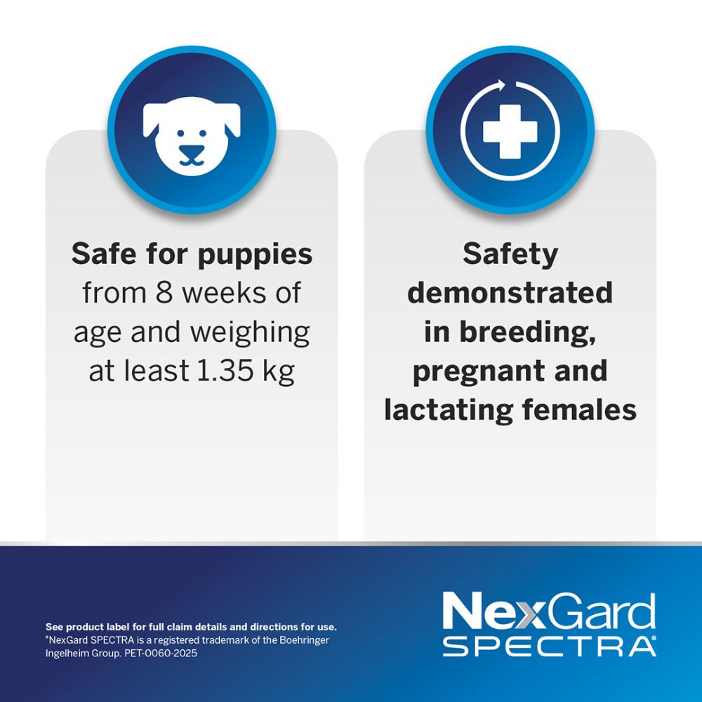 NexGard Spectra Large Dog 15.1-30kg