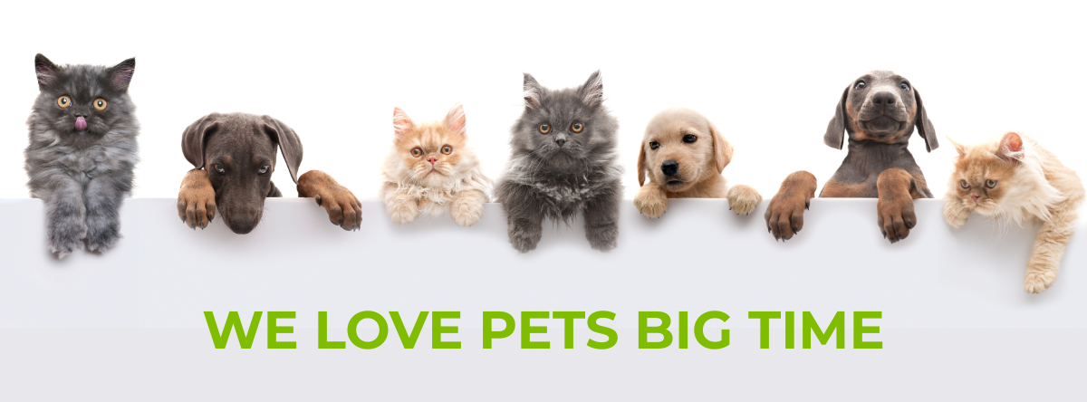 We love pets_mobile