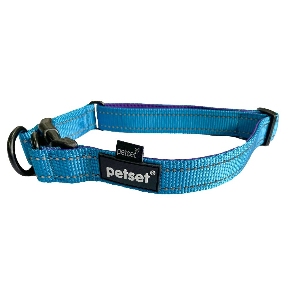 Petset Dog Collar Active Adjustable Blue and Purple