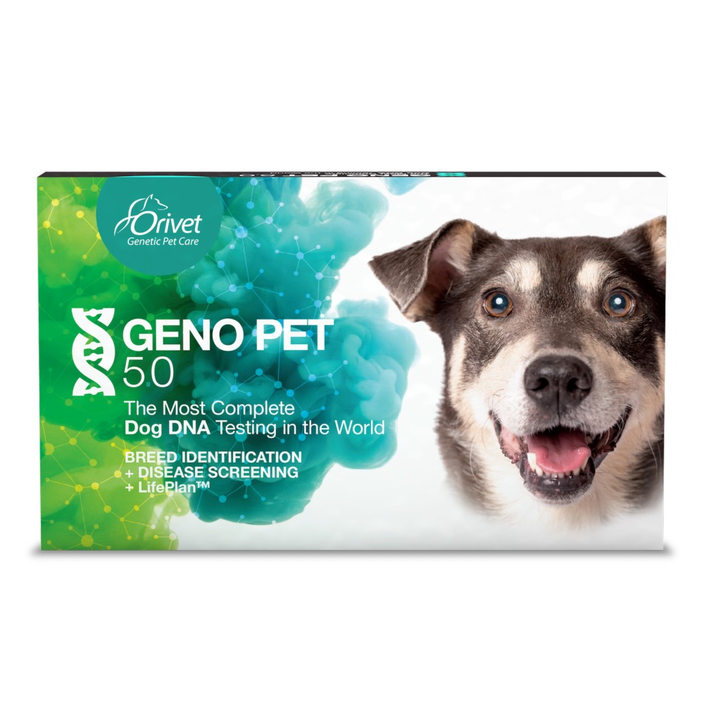GenoPet 5.0 Dog DNA Test Kit