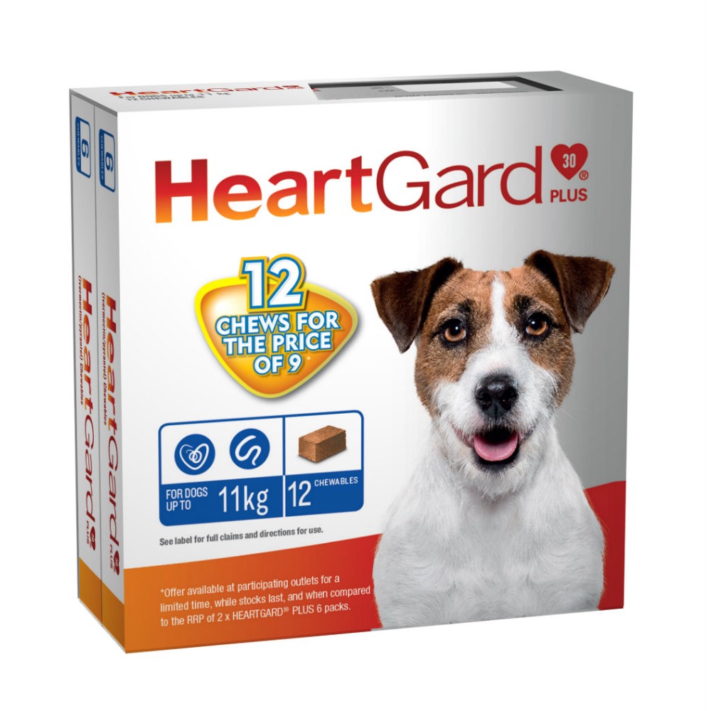 when should i give my puppy heartgard