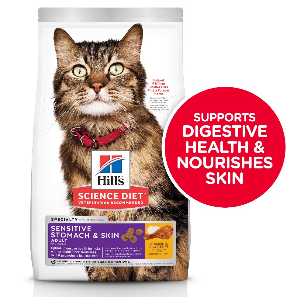 Science diet egg and rice on sale cat