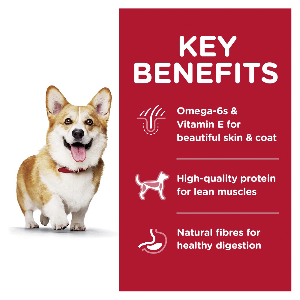 Hills Science Diet Adult Small Bites Lamb and Rice Dry Dog Food