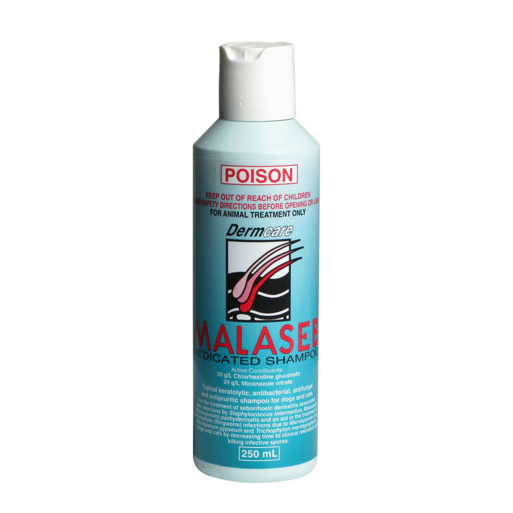 Dermcare Malaseb Shampoo