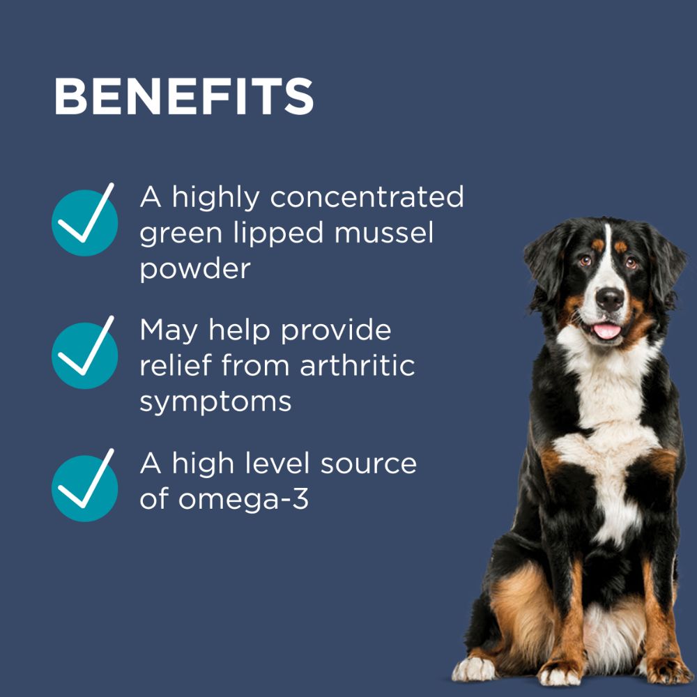 Osteosupport for best sale dogs