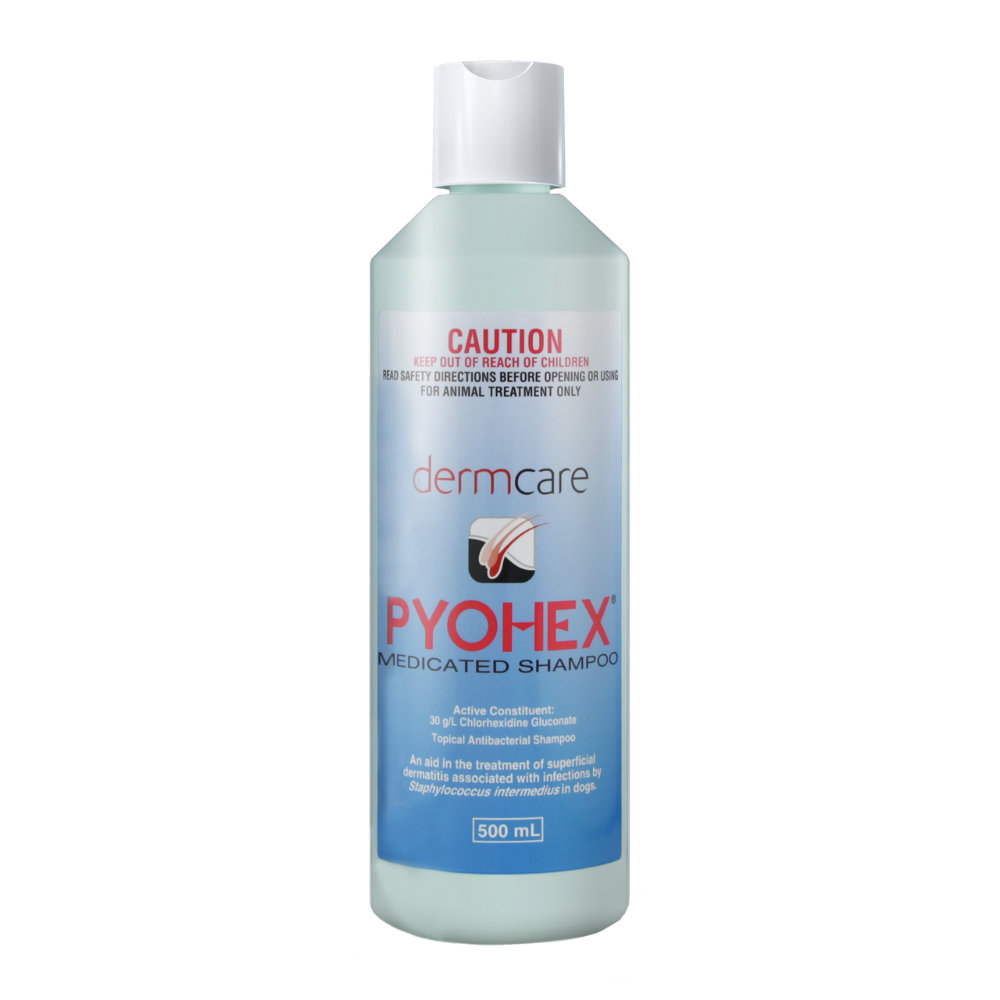 Dermcare Pyohex Shampoo