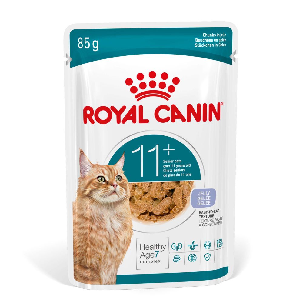 Royal Canin Ageing 11+ In Jelly