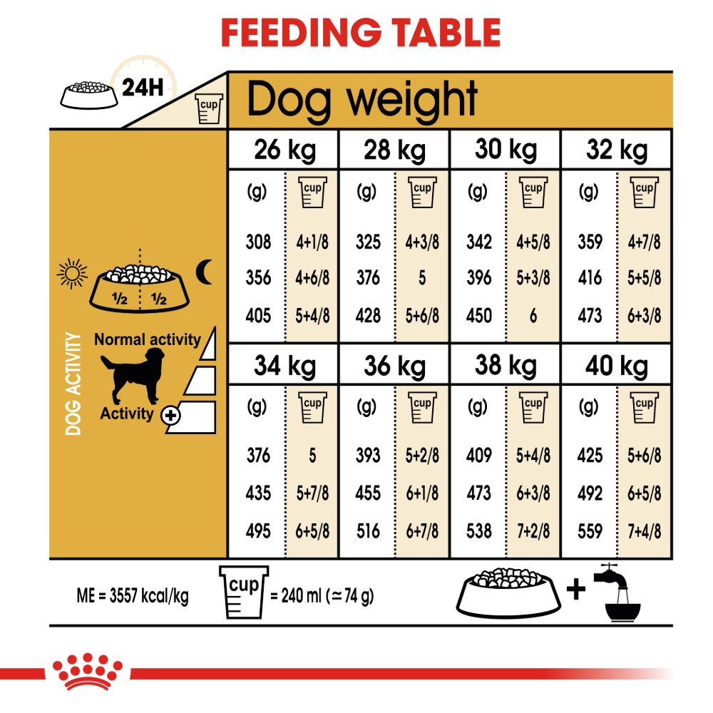 Lab Dog Food Chart Cheap Sale Centralcountiesservices