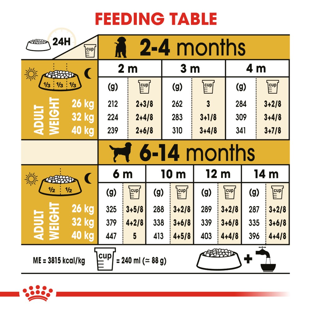 labrador puppy food guide