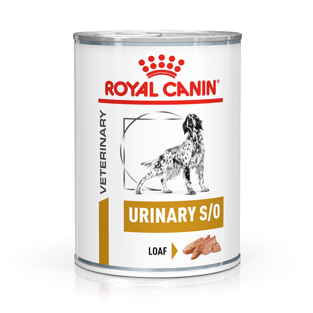 urinary so dog food