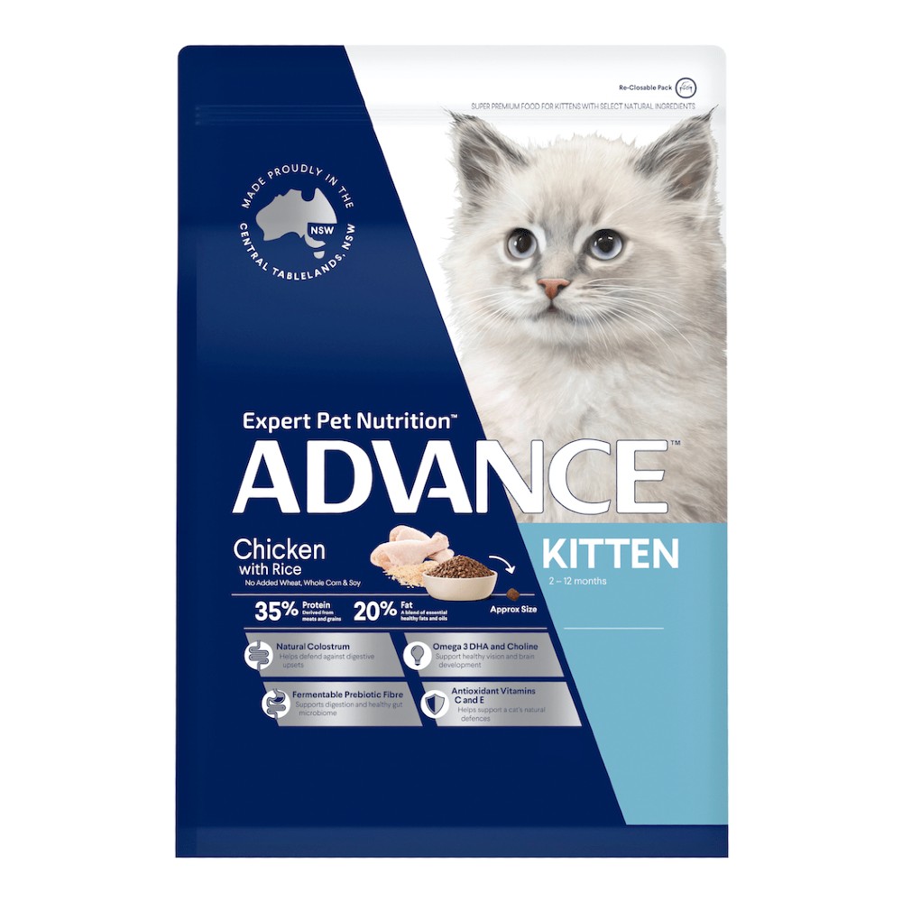 Advance Kitten