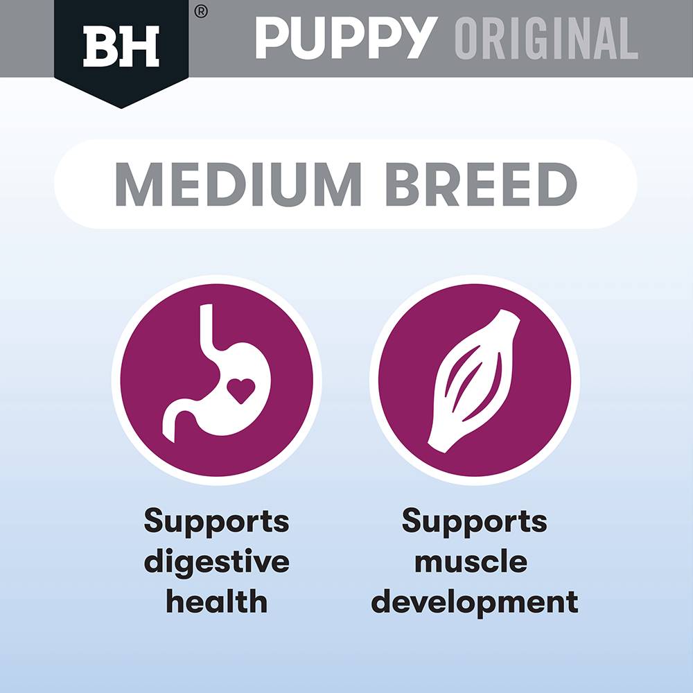 Black hawk large breed puppy best sale feeding guide