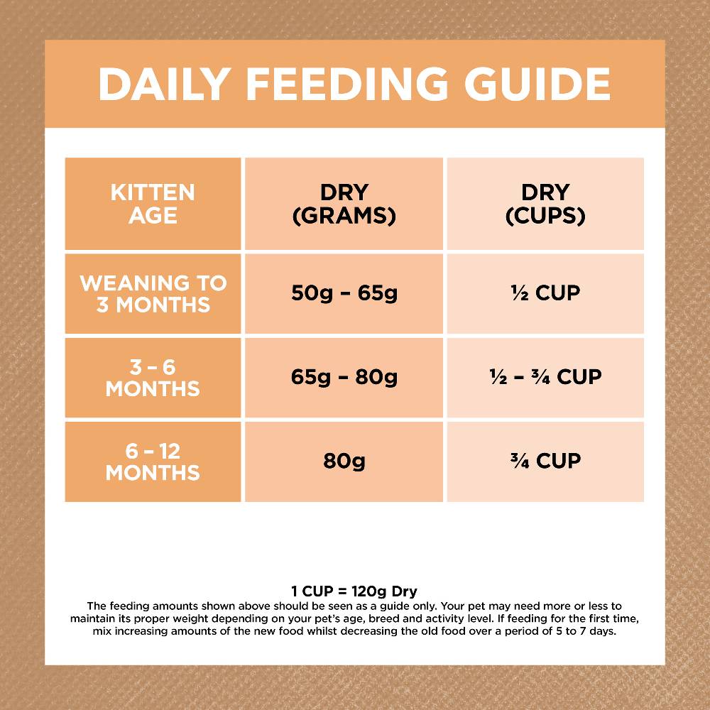 Ivory coat puppy feeding guide top