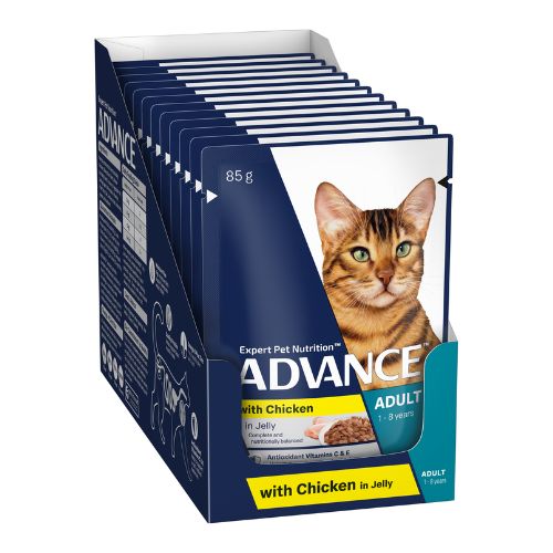Advance Adult Chicken in Jelly