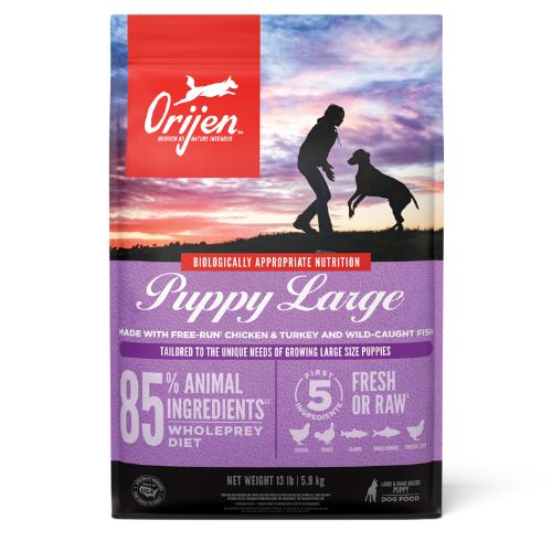 Orijen Puppy Large Breed Dry Food