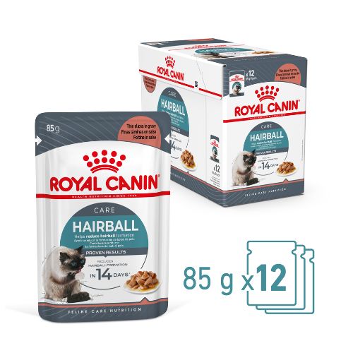 Royal Canin Adult Hairball Care in Gravy