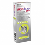 Bravecto Plus Kittens and Small Cats 1.2-2.8kg Green