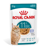 Royal Canin Ageing 11+ In Jelly